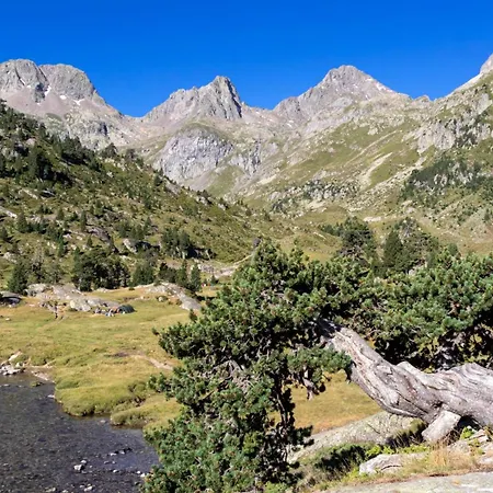 Kemp Holidays - Les Sapins