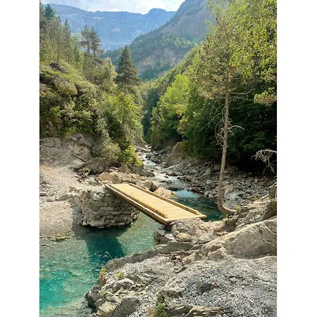 Holidays - Les Sapins *