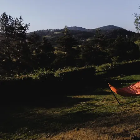 Holidays - Les Sapins Kemping