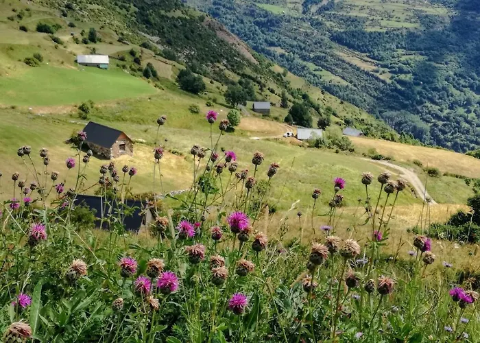 Holidays - Les Sapins مكان تخييم Camurac