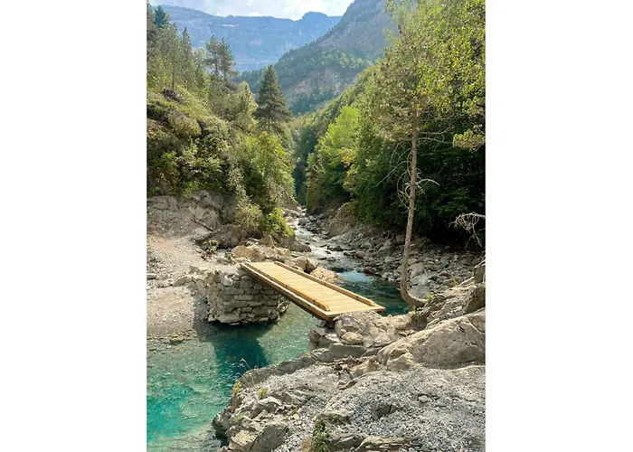 Holidays - Les Sapins *